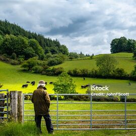 Istockphoto 1324921732 1024x1024