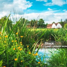Istockphoto 1398669737 1024x1024